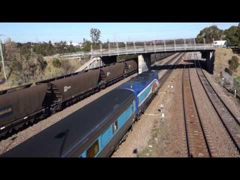 An hour of trains at Sandgate NSW - 6/8/14