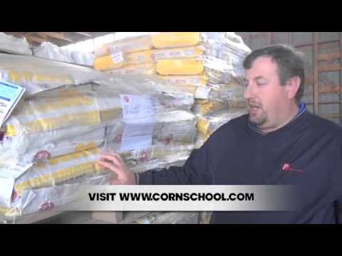 Corn School 2-11: Consider Your Refuge Strategy Before Buying Your Seed