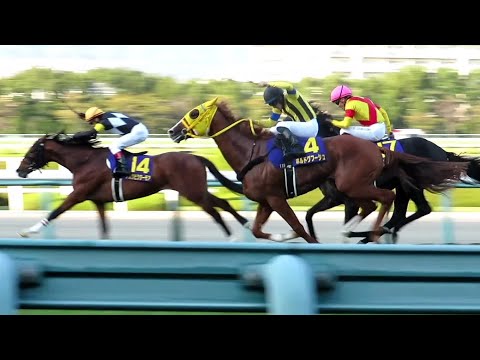 2022.10.23　阪神11R　菊花賞　芝3000m　アスクビクターモア