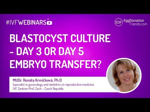 Blastocyst culture - day 3 or day 5 embryo transfer? #IVFWEBINARS