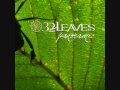 Safe Haven - 32 Leaves 