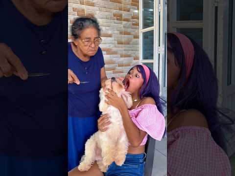 La medicina es para el perro
