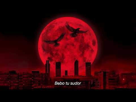 Natos y Waor - HASTA QUE SALGA EL SOL ft Recycled J (Letra) [Luna llena]