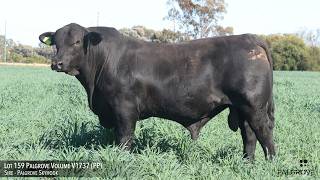 Lot 159 Palgrove Volume V1737 PP