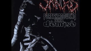 Skinless - Salvage What's Left