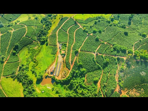 LUGARES DA NOSSA REGIÃO ALFENAS MINAS GERAIS 