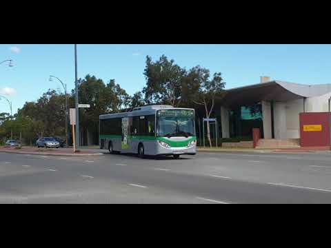 Transperth Mercedes-Benz O405NH (Volgren CR225L) TP1220 Arrives @ Joondalup Station