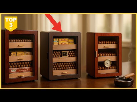 Cave à cigares 2025 : quel modèle pour votre profil ?