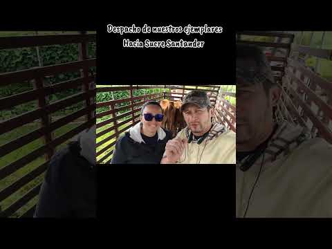 Envío de nuestros ejemplares Hacia Sucre Santander, siguientes envíos de nuestros ejemplares