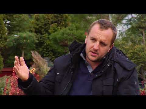 Reč struke ep. 136 14.12.2017. - Gajenje četinara