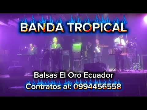 𝐁𝐀𝐍𝐃𝐀 𝐓𝐑𝐎𝐏𝐈𝐂𝐀𝐋 𝐔𝐧𝐚 𝐁𝐚𝐧𝐝𝐚 𝐒𝐢𝐧 𝐈𝐠𝐮𝐚𝐥 - Balsas El Oro Ecuador -𝗖𝗢𝗡𝗧𝗥𝗔𝗧𝗢𝗦 𝗔𝗟: 𝟬𝟵𝟵𝟰𝟰𝟱𝟲𝟱𝟱𝟴