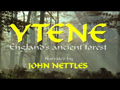 Ytene England's Ancient Forest (1995) Narrated by John Nettles