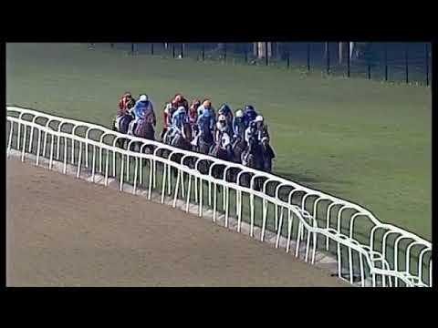 2019.07.06 Garden Province Stakes (RSA) - Celtic Sea