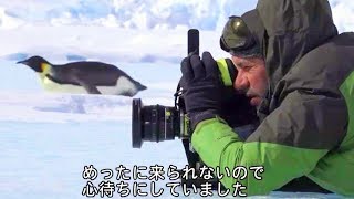 映画『皇帝ペンギンただいま』メイキング映像