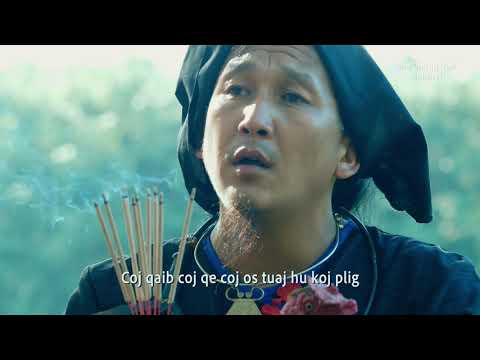 Super zab - hu plig 2020-2021