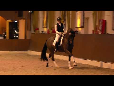 Goldika Live Präsentation DE