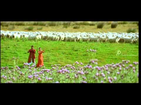 Priyamana Thozhi - Maan Kuttiyae Song