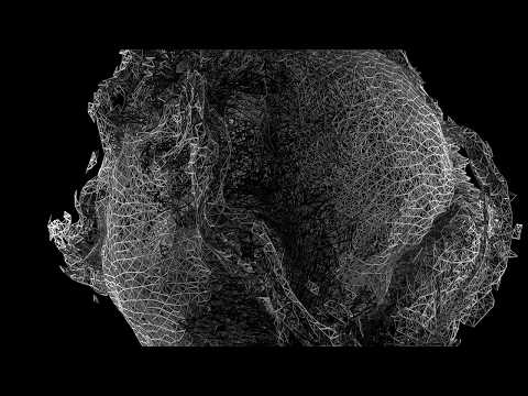 PINDROPS || DIVE (Official video)