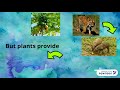 Plant And Animal Interdependency