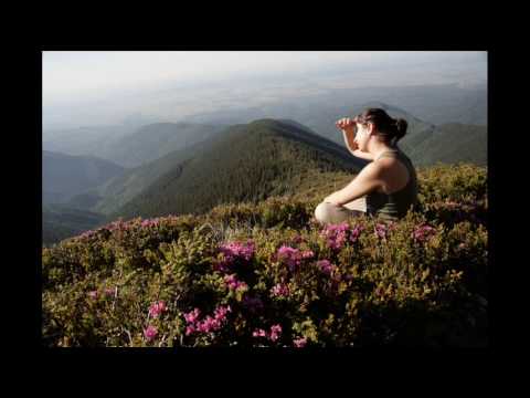 Barcaciu si bujori de munte