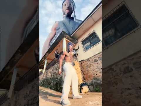 I.TIGA LWDC ( Visualiser by Imaginice)