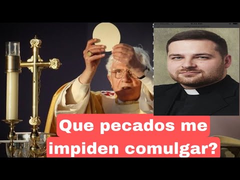 Quien puede y quien no debe COMULGAR - Cafe Catolico - Padre Miguel