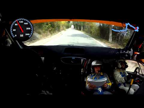 Camera car 3º Jolly Rally 2014 Busetti - Conte Renault Clio R3