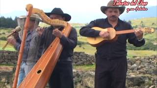 Talentos del Llano - Ariel Hernandez - Guayababal como Te Quiero