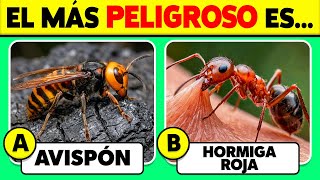 ¿Qué tanto sabes de ANIMALES? 🐝🐜✅ | 50 Preguntas De Trivia Sobre Animales