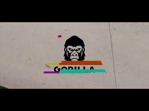 MIRE - 🦍GORILLA 🦍