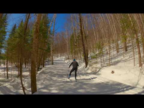 domínio são bernardo