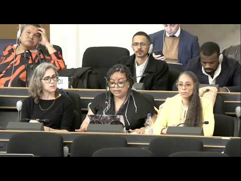 El régimen cubano cuestiona la intervención de María Matienzo en el Foro Afrodescendiente