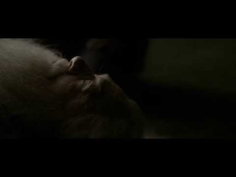 Harry Potter And The Half-Blood Prince - Dumbledore's farewell [HD]
