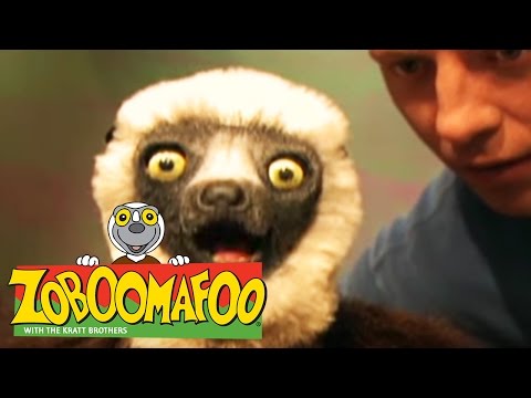 🐒 Zoboomafoo 🐒 112 | Homes - Full Episode | Kids TV Shows