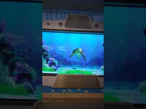 crush  keep swimming #