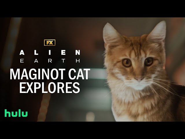 Maginot Cat Explores Weyland-Yutani Ship