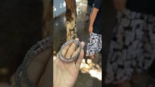 Video 3