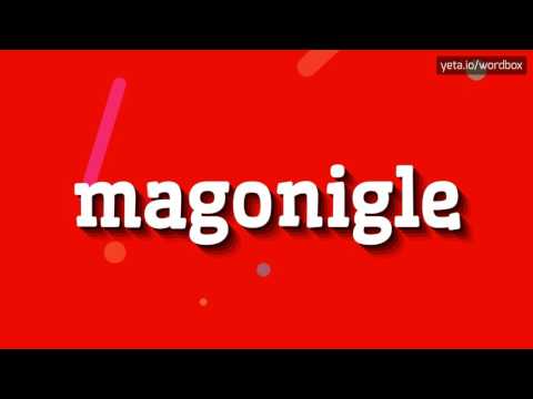 MAGONIGLE - HOW TO PRONOUNCE MAGONIGLE? #magonigle