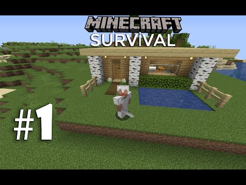 TEMEL İŞLER VE BAŞLANGIÇ EVİ!  ┇ Minecraft Survival ▹Bölüm 01