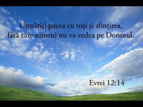 Muzica crestina.Pt.tine-un pacatos .Cristian Cornea din ARAD