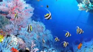 Piero Zeta & Manuel Es - Virtual Ocean