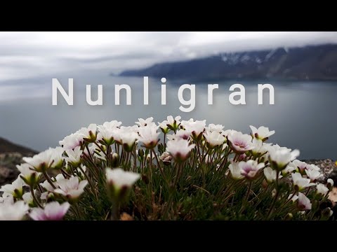 NUNLIGRAN