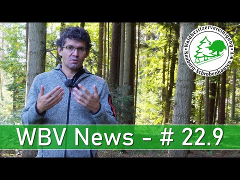 WBV News 22.9 - Alles zum aktuellen Holzmarkt