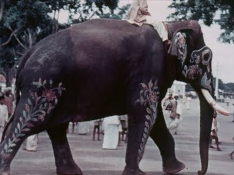 Mysore - Farming Scenes, Dussehra Festival and Mysore Zoo [Excerpt]