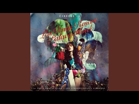 The Gun and the Knife