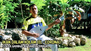 Download lagu Ikan Dalam Kolam Cover Gambus Buton Sarfin Smada... mp3
