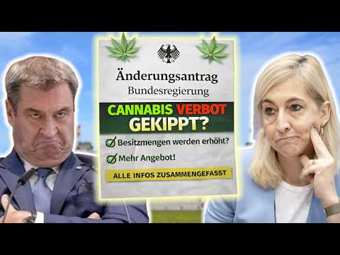 Will more cannabis soon be legalized? The CDU wants to change the ban law!