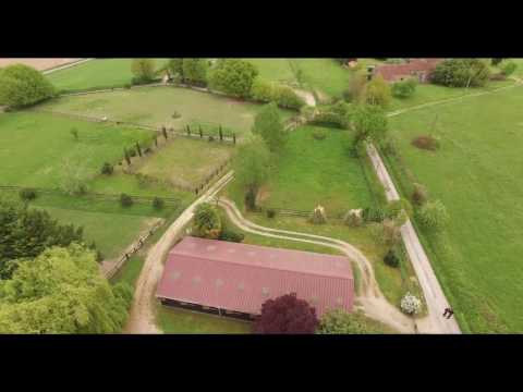 Tchaata Arabians - Haras de Numa