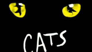 Musik-Video-Miniaturansicht zu Come dare il nome ad un gatto Songtext von Cats (Musical)