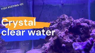 Ways to get crystal clear water in a reef tank ￼